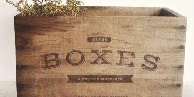Box